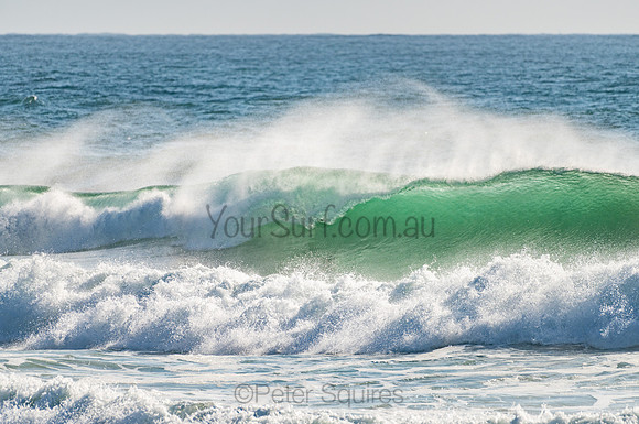 Whale_Beach_201103_08-03-50_0013