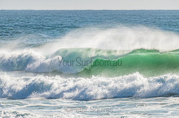 Whale_Beach_201103_08-03-51_0015