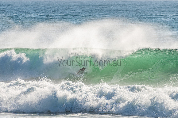 Whale_Beach_201103_08-17-29_0073