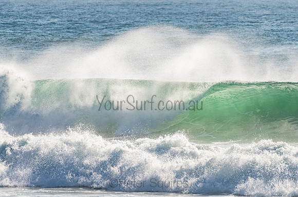 Whale_Beach_201103_08-17-30_0075