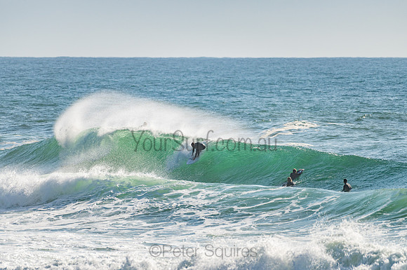 Whale_Beach_201103_08-23-10_0101