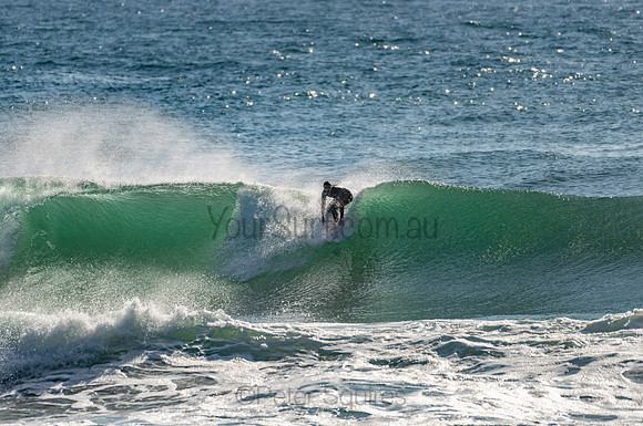Whale_Beach_201103_08-29-24_0160