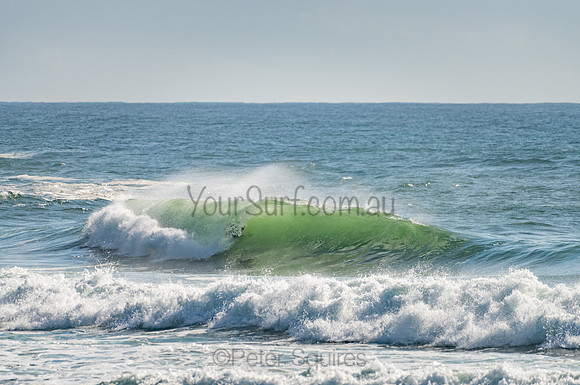Whale_Beach_201103_08-32-51_0169