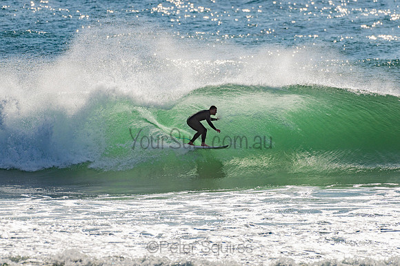 Whale_Beach_201103_08-33-34_0175