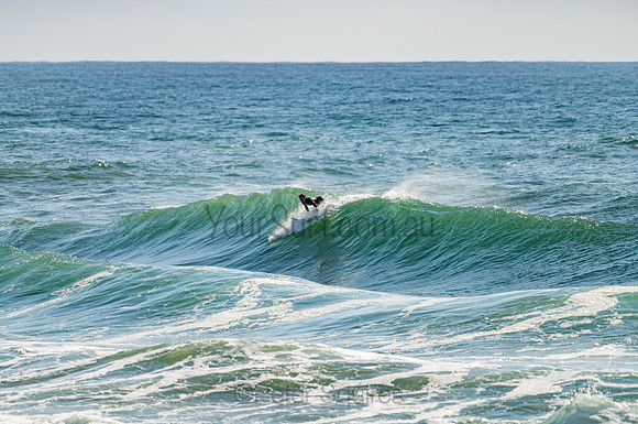 Whale_Beach_201103_08-35-43_0191