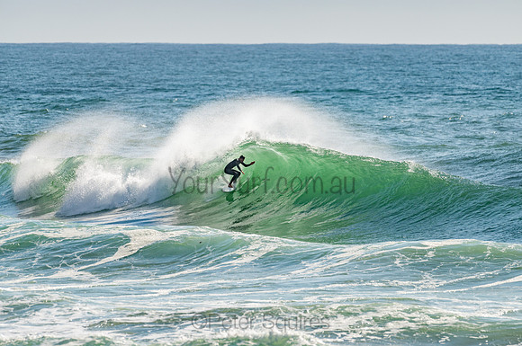 Whale_Beach_201103_08-35-45_0195