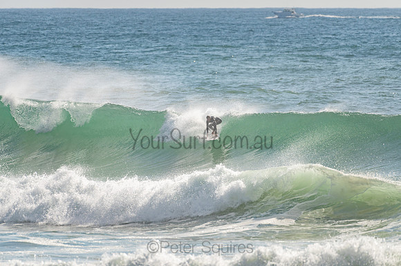 Whale_Beach_201103_08-39-18_0214