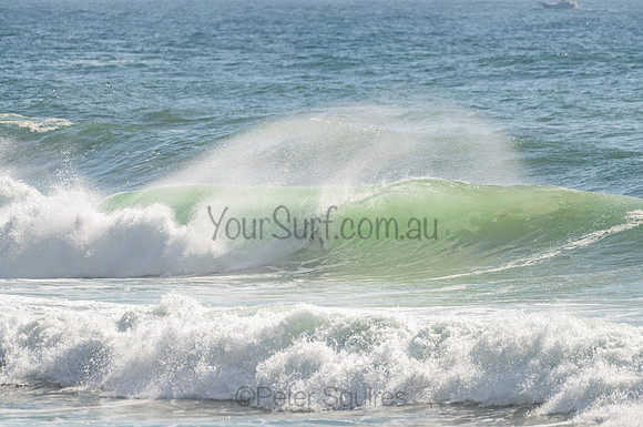 Whale_Beach_201103_08-39-22_0219