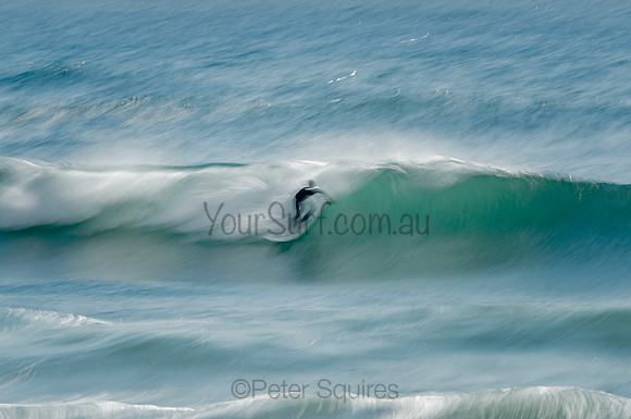 Whale_Beach_201103_08-50-04_0261