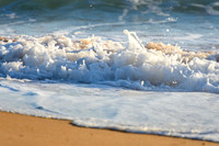 Palm_Beach_211231_063736_0009