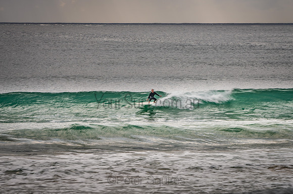 Palm_Beach_201107_08-43-54_0037