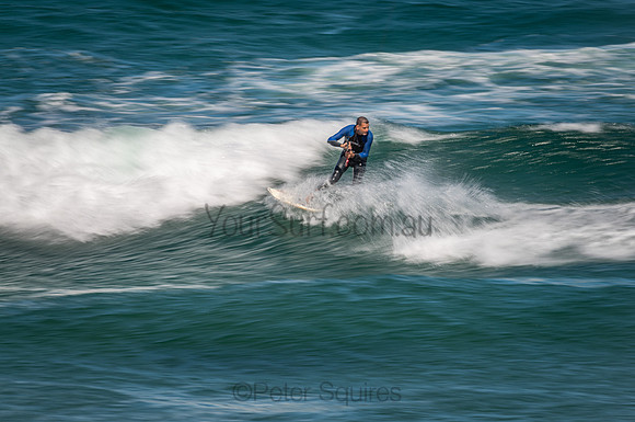 Palm_Beach_201111_154454_0429