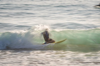 Palm_Beach_201114_073307_0016