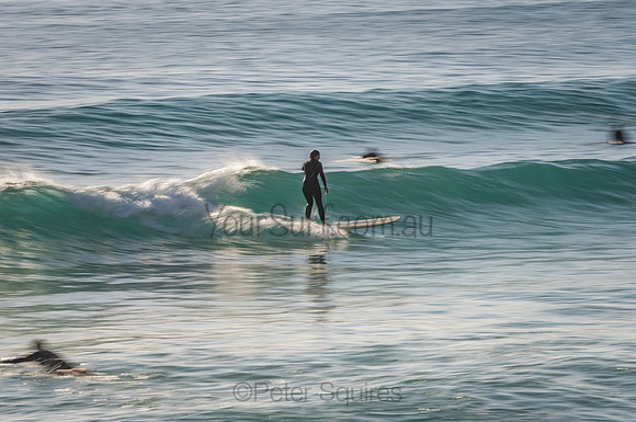 Palm_Beach_201114_073456_0031