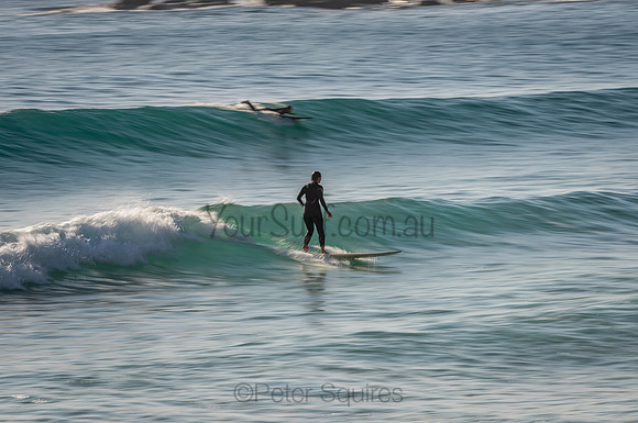 Palm_Beach_201114_073459_0032