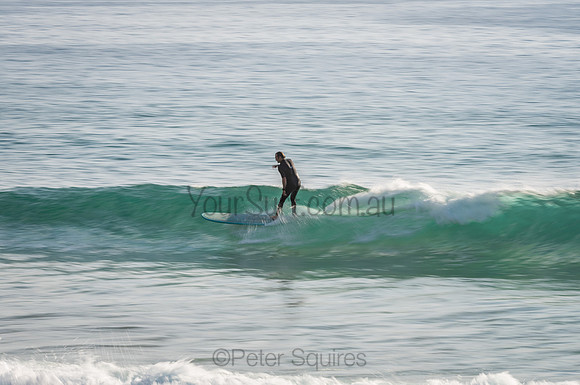 Palm_Beach_201114_073537_0038