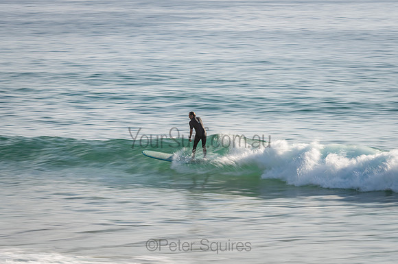 Palm_Beach_201114_073539_0039