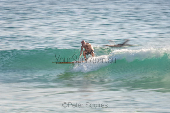 Palm_Beach_201114_074643_0096