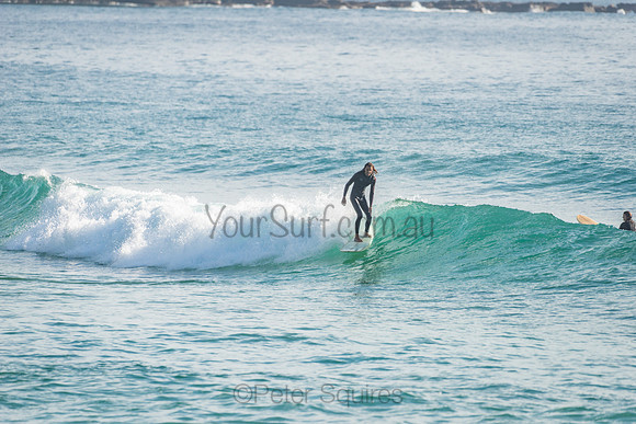 Palm_Beach_201114_075318_0131