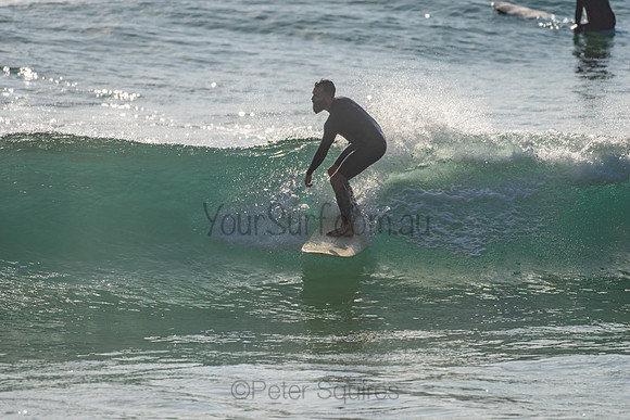 Palm_Beach_201114_075512_0147