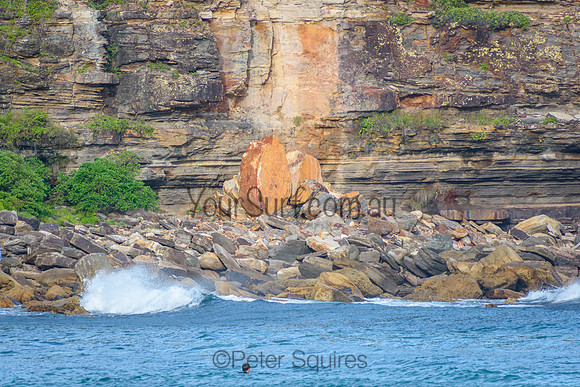 Avalon_220101_183711_0004