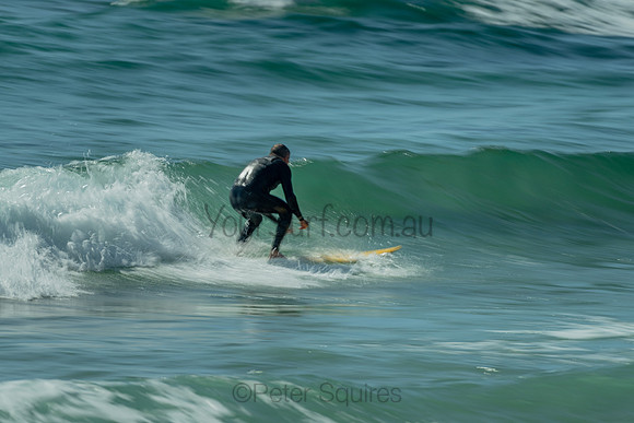 Palm_Beach_201119_092657_0021