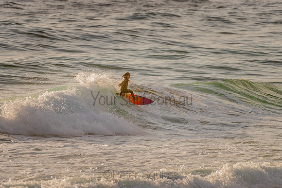 Whale_Beach_201120_065013_0047
