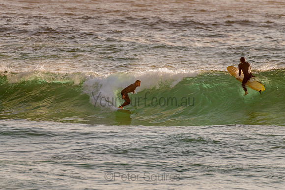 Whale_Beach_201120_065326_0069