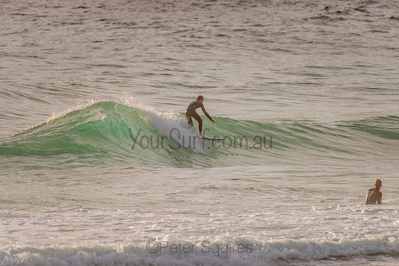Whale_Beach_201120_065528_0090