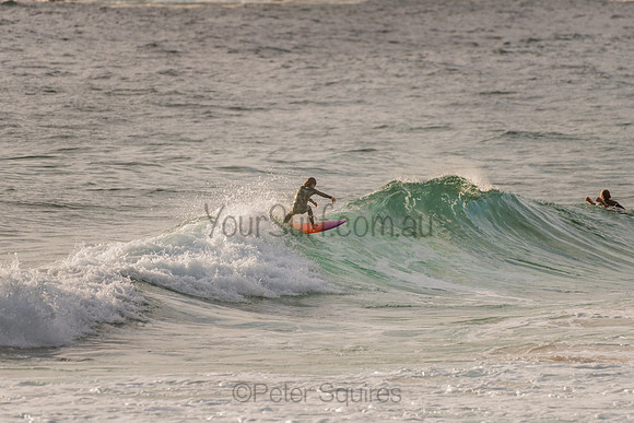 Whale_Beach_201120_070842_0208