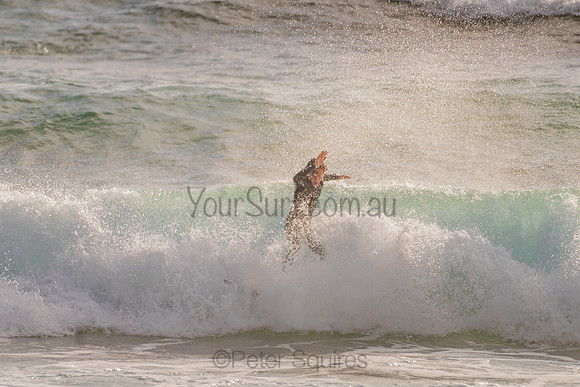 Whale_Beach_201120_071052_0247
