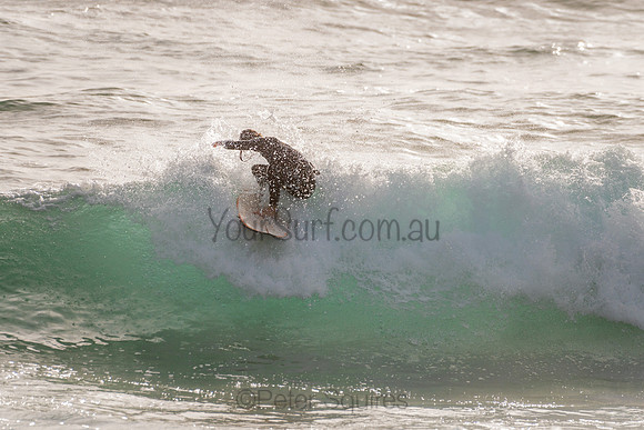 Whale_Beach_201120_071359_0289