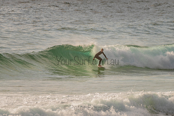 Whale_Beach_201120_071650_0308