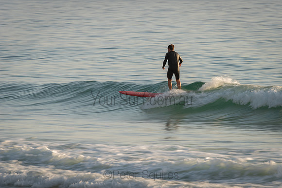 Palm_Beach_201122_065102_0152