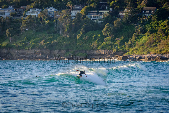 Whale_Beach_220103_063939_0016