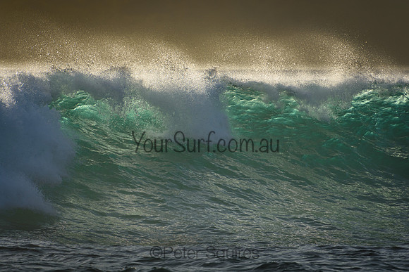 Whale_Beach_220103_070247_0064