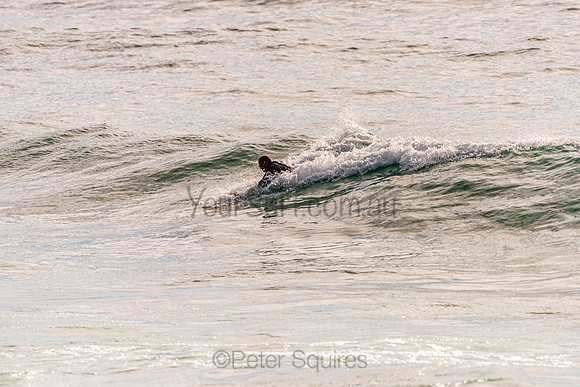 Avalon_201125_075519_0103
