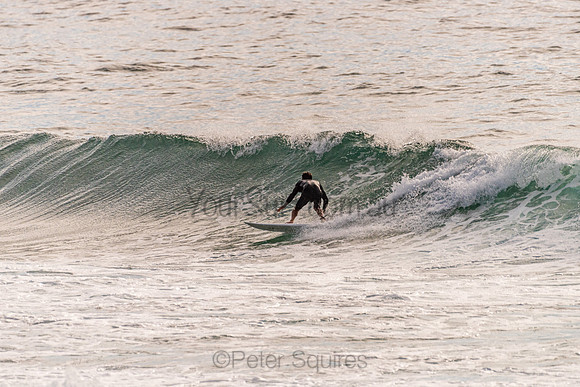 Avalon_201125_075820_0110
