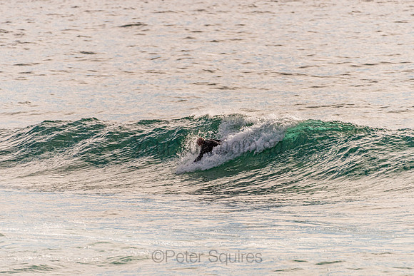 Avalon_201125_080414_0126