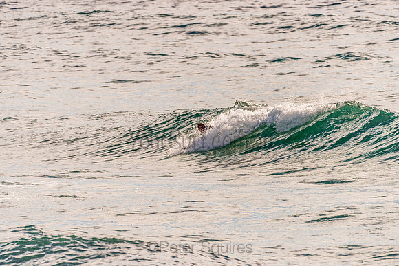 Avalon_201125_081146_0135