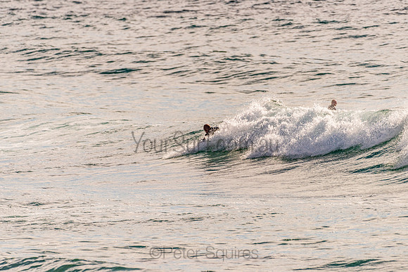 Avalon_201125_081148_0136