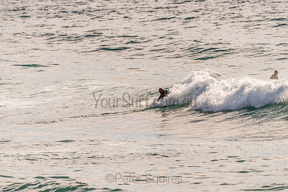 Avalon_201125_081148_0137