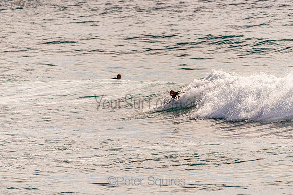 Avalon_201125_081149_0138