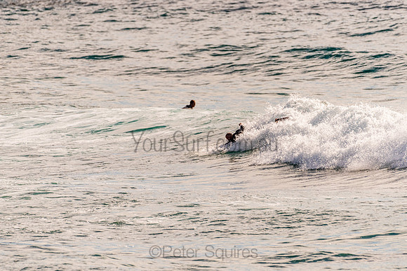 Avalon_201125_081149_0139