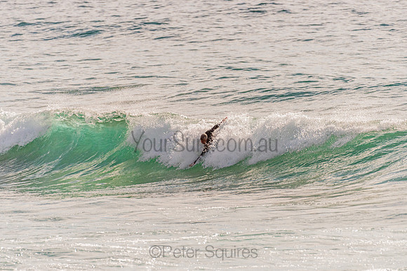 Avalon_201125_081838_0162