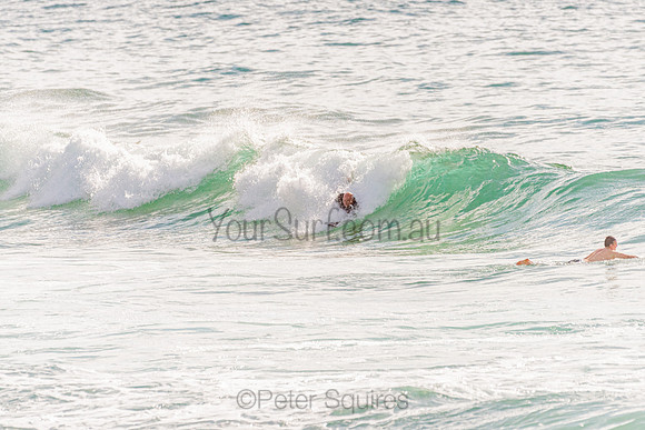 Avalon_201125_082038_0167
