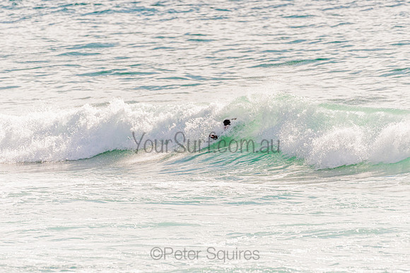 Avalon_201125_082237_0187