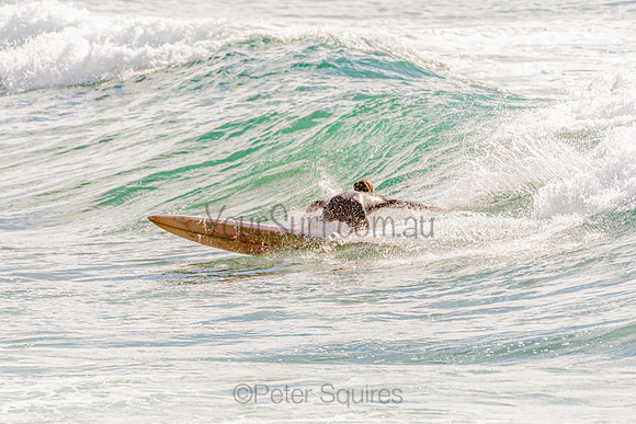 Avalon_201125_082657_0196