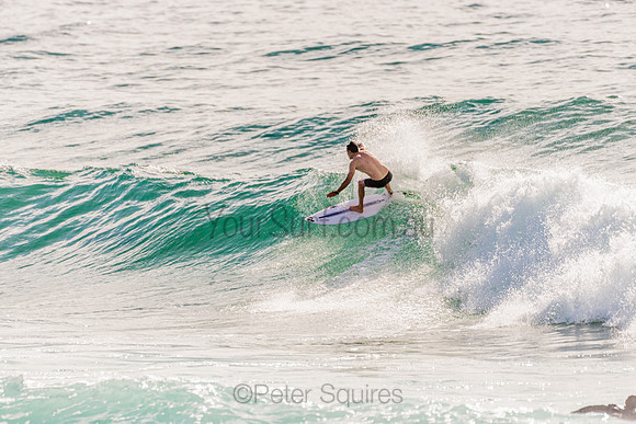 Avalon_201125_083652_0235