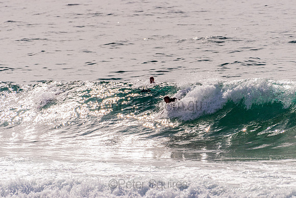 Avalon_201125_090002_0261